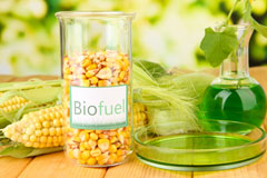 Salsburgh biofuel availability